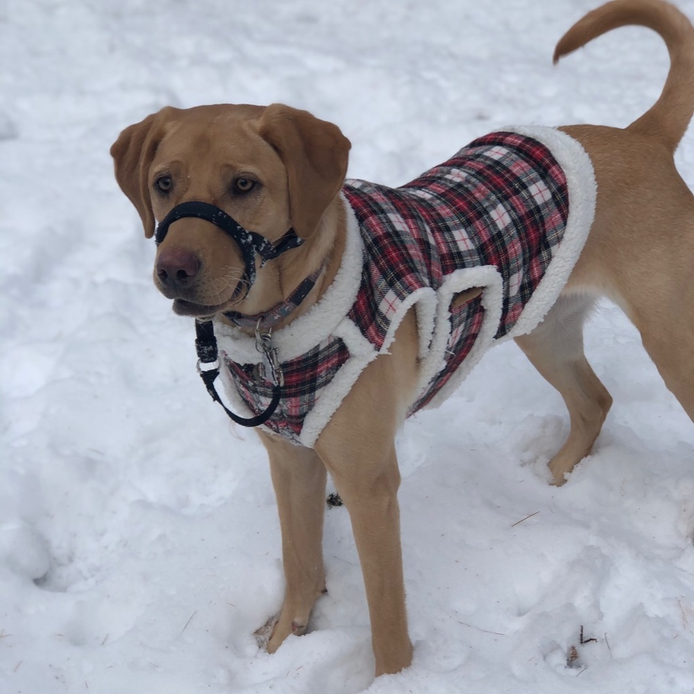 Meet your Posher, Paula